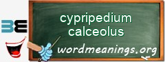 WordMeaning blackboard for cypripedium calceolus